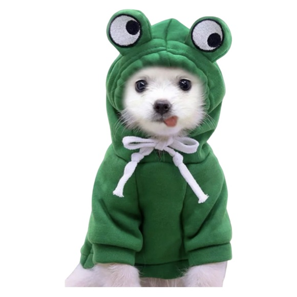Fashion with an Overload of Cuteness Frog Sweater Pets - Picture 1 of 5